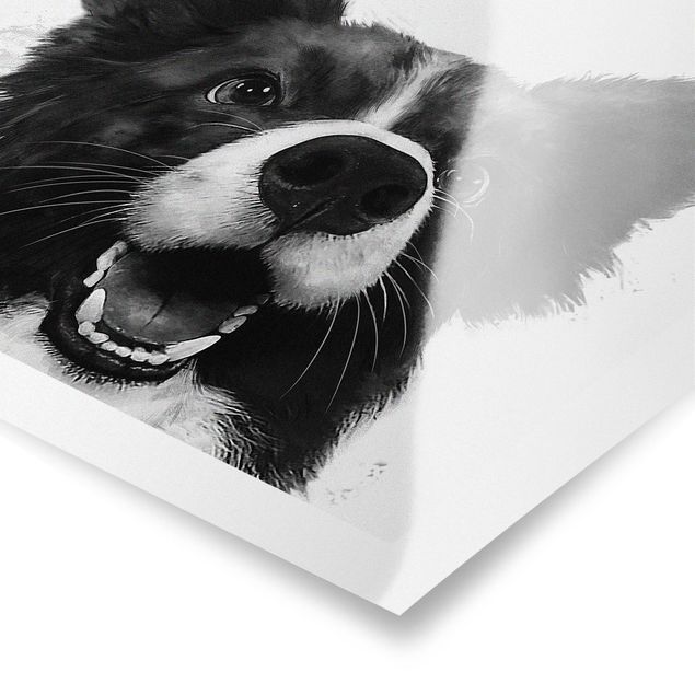 Poster - Illustration Hund Border Collie Schwarz Weiß Malerei - Quadrat 1:1