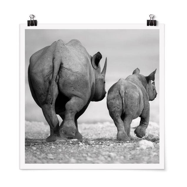 Moderne Poster Wandering Rhinos II
