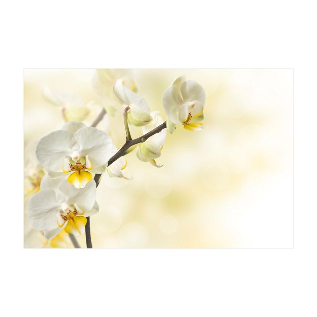 Teppich gelb Orchideen Zweig