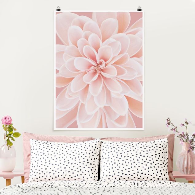 Blumen Poster Dahlie in Pastellrosa