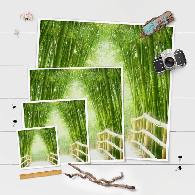 Poster - Bamboo Way - Quadrat 1:1