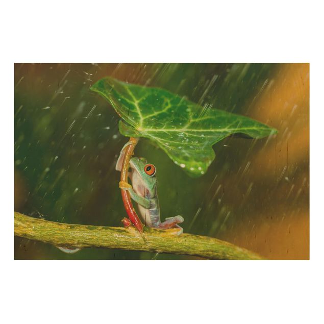 Holzbilder Blumen Ein Frosch im Regen