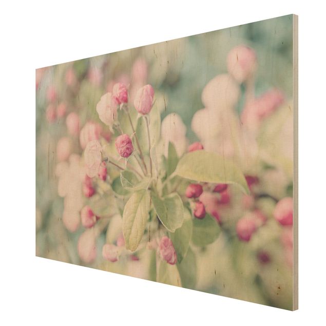 Bilder auf Holz Apfelblüte Bokeh rosa
