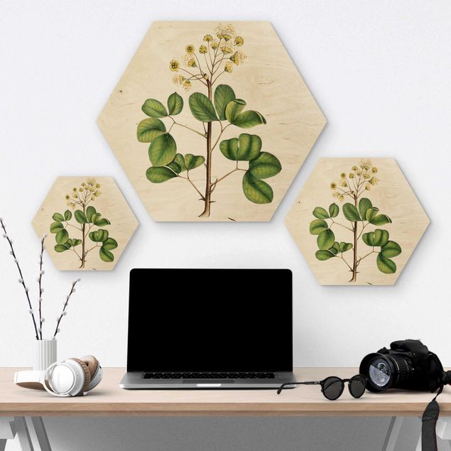 Hexagon Bild Holz - Laubwerk mit Blüten IV