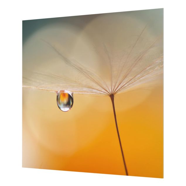 Glas Spritzschutz - Pusteblume in Orange - Quadrat - 1:1