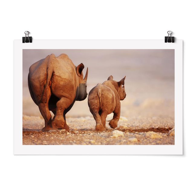 Poster - Wandering Rhinos - Querformat 2:3