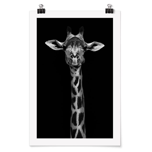 Bilder Dunkles Giraffen Portrait