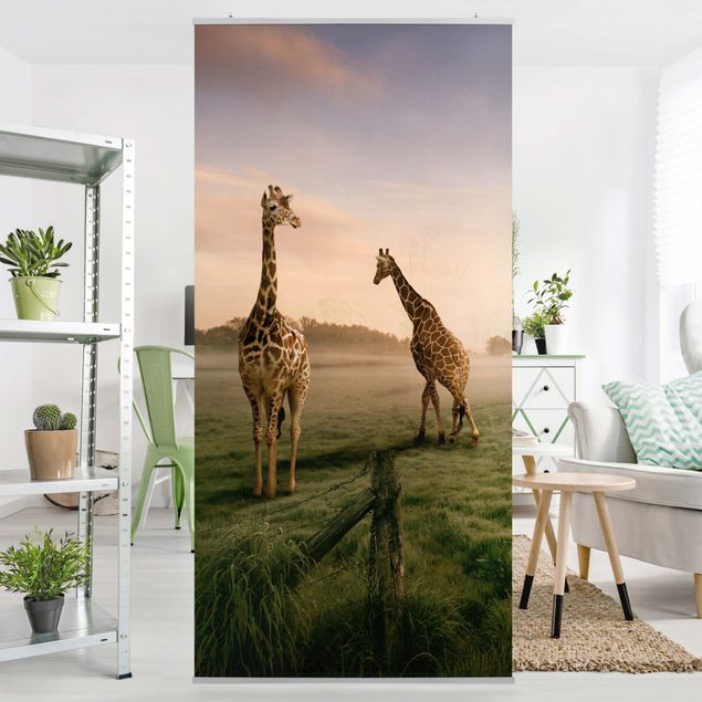 Raumteiler Tiere Surreal Giraffes