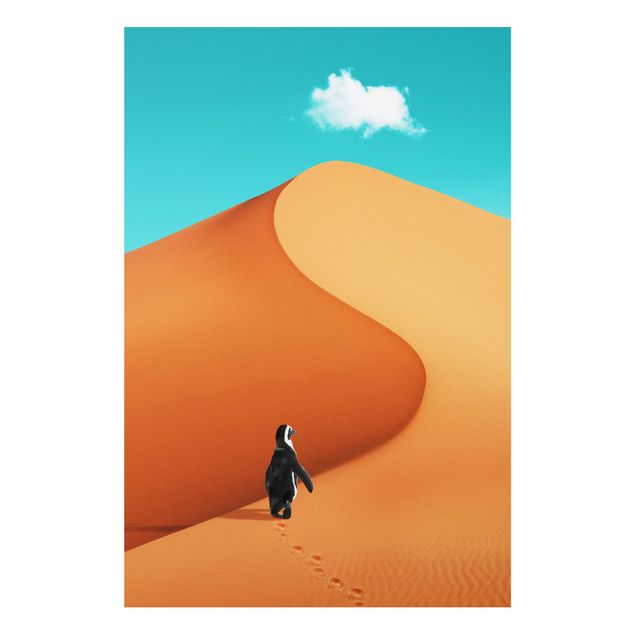 Wandbilder Wüste mit Pinguin