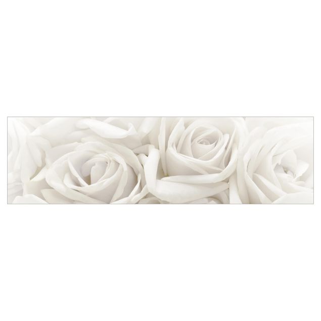 Küchenrückwand - Weiße Rosen