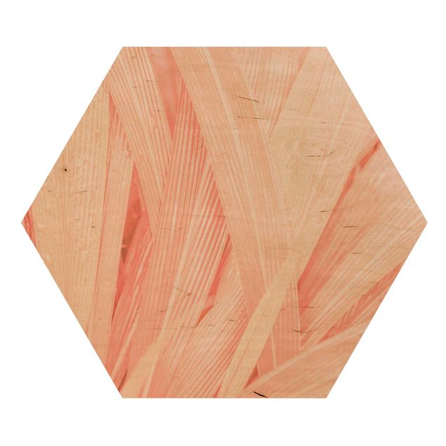 Hexagon Bild Holz - Palmenblätter Rosa
