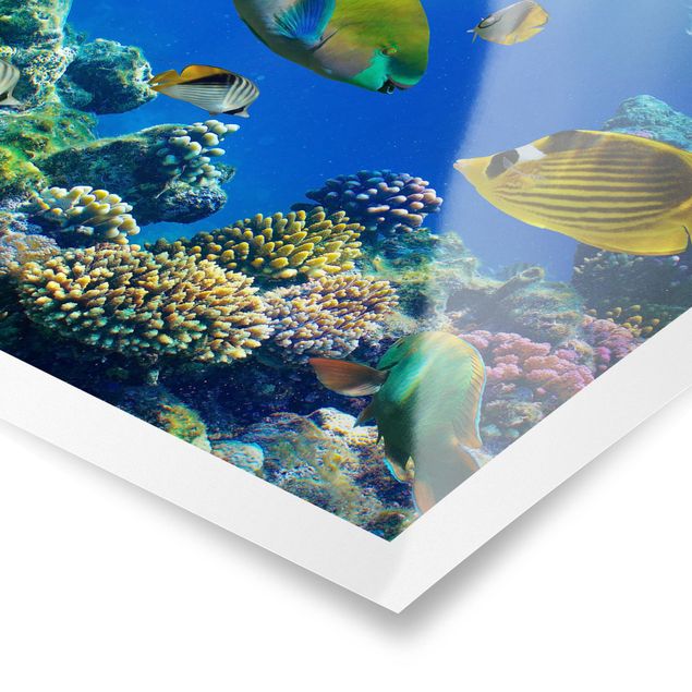 Poster kaufen Underwater Lights