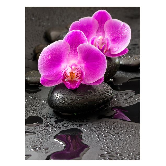 Magnettafel - Pinke Orchideenblüten auf Steinen mit Tropfen - Memoboard Hochformat 4:3