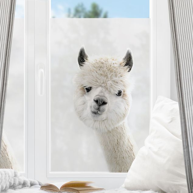Tier Fensterbilder Alpaka Portrait