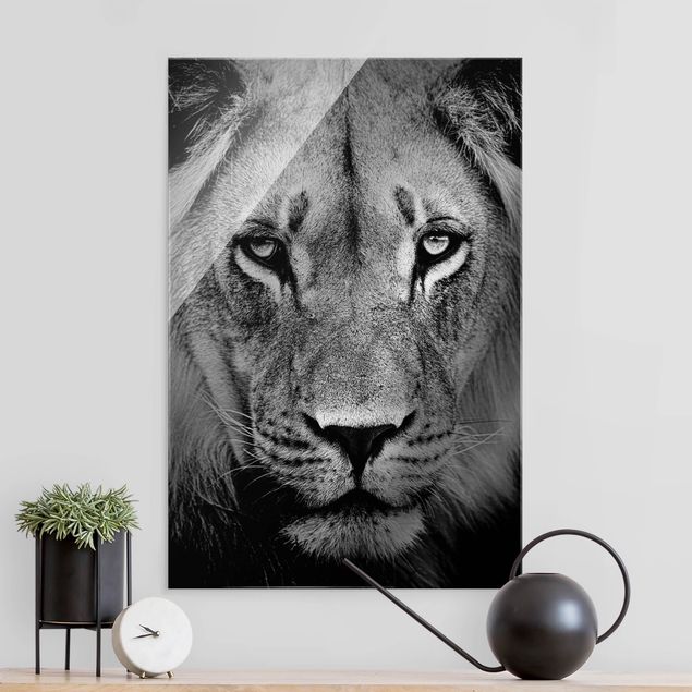 Glasbilder Schwarz-Weiß Alter Löwe