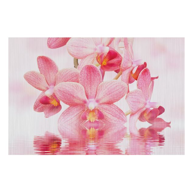 Alu Dibond Druck Rosa Orchideen auf Wasser