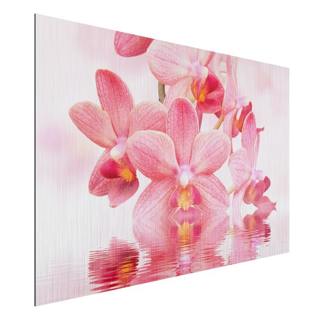 Wandbilder Rosa Orchideen auf Wasser