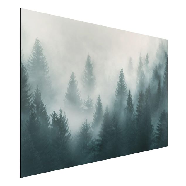 Bilder Nadelwald im Nebel