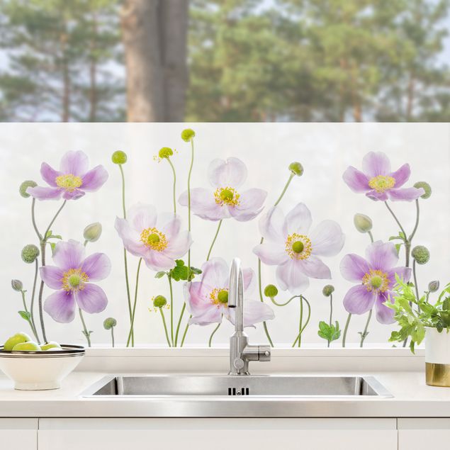 Fensterbilder selbstklebend Blumen Anemonen Mix