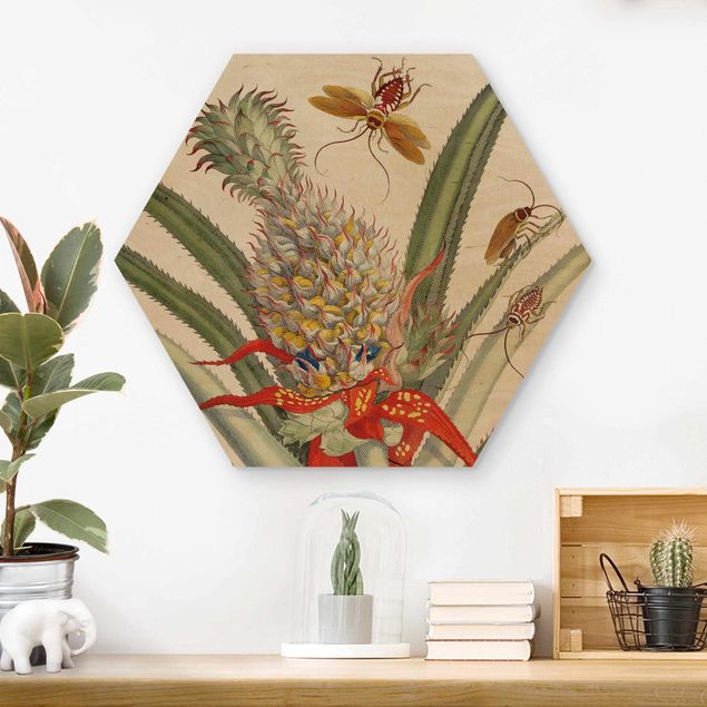 Wandbilder Anna Maria Sibylla Merian - Ananas mit Insekten