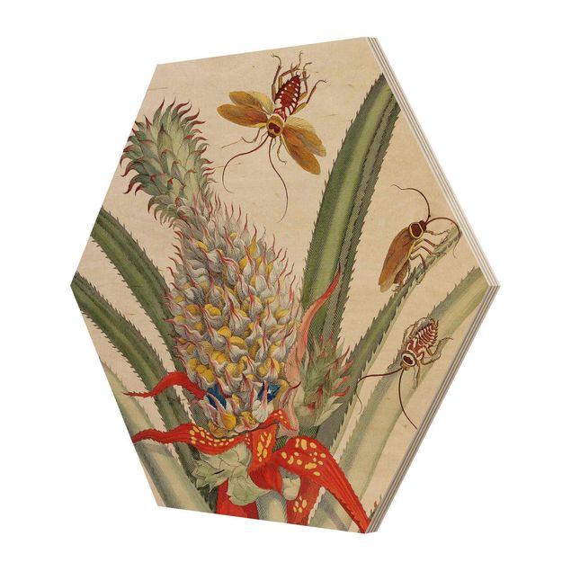 Hexagon-Holzbild - Anna Maria Sibylla Merian - Ananas mit Insekten