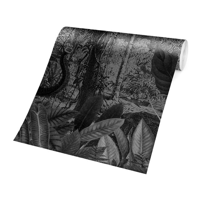 Fototapete - Antiker Dschungel Schwarz Weiß