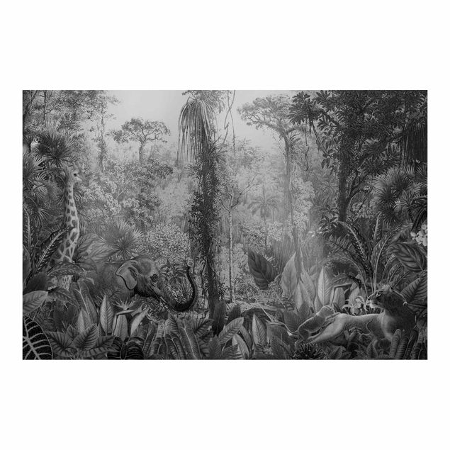 Fototapete - Antiker Dschungel Schwarz Weiß