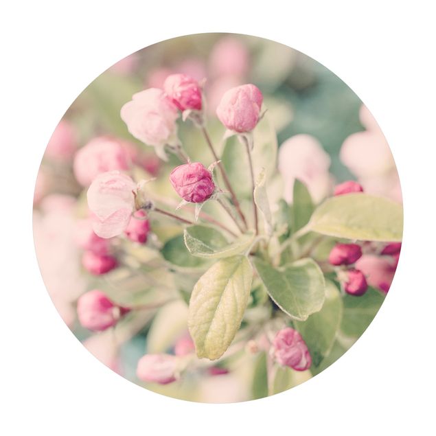 Vinyl-Teppich Apfelblüte Bokeh rosa
