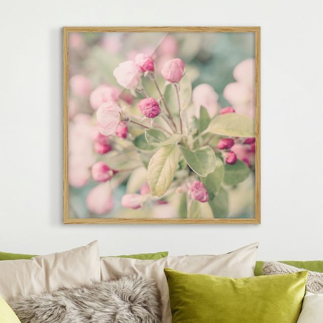 Moderne Bilder mit Rahmen Apfelblüte Bokeh rosa