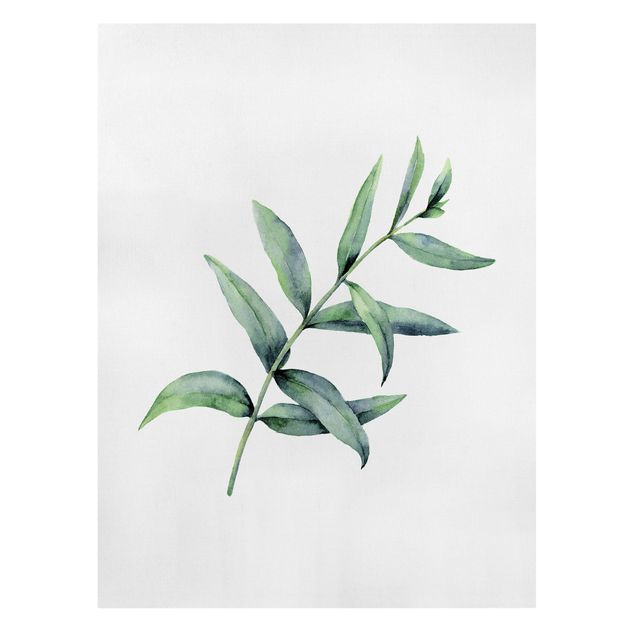 Leinwandbild - Aquarell Eucalyptus I - Hochformat 3:4