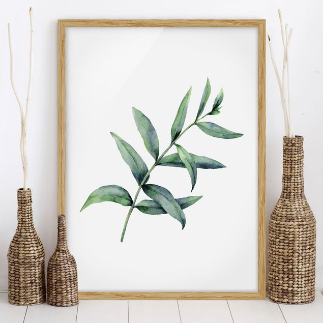 Moderne Bilder mit Rahmen Aquarell Eucalyptus I
