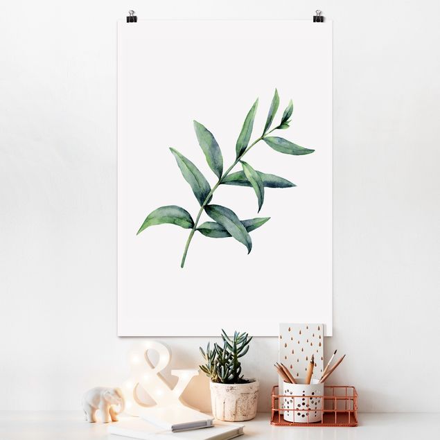 XXL Poster Aquarell Eucalyptus I