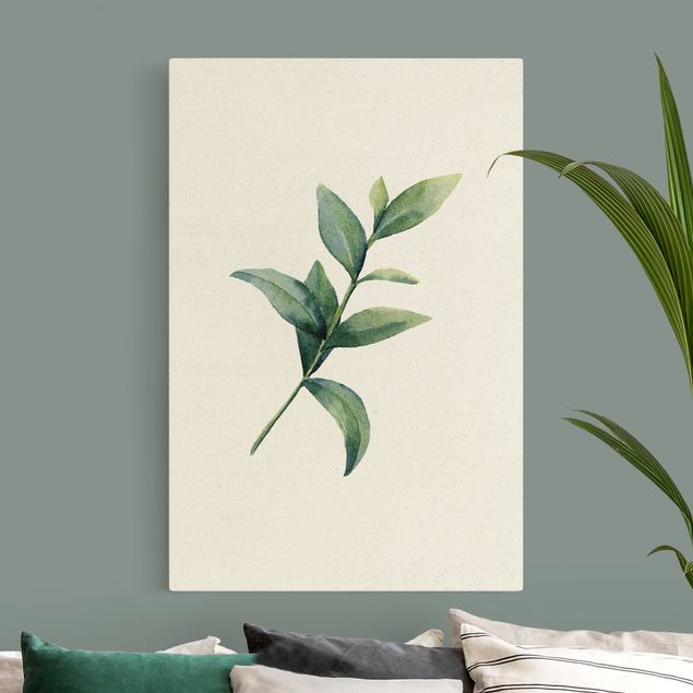 Leinwandbild Natur - Aquarell Eucalyptus II - Hochformat 2:3