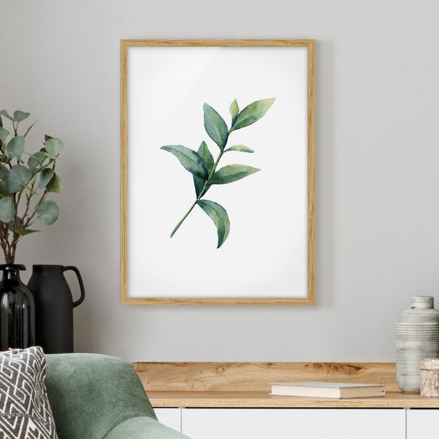 Blumen Bilder mit Rahmen Aquarell Eucalyptus II