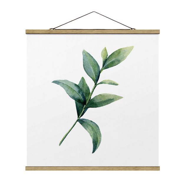 Stoffbild mit Posterleisten - Aquarell Eucalyptus II - Quadrat 1:1