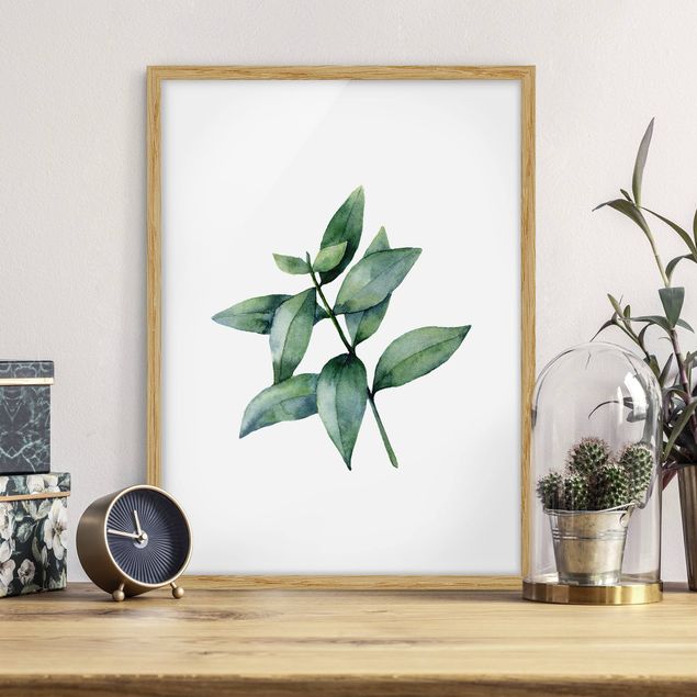 Moderne Bilder mit Rahmen Aquarell Eucalyptus III