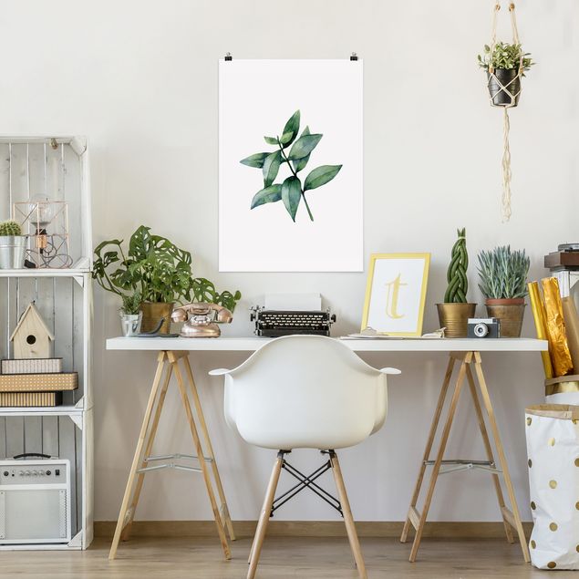 Poster mit Blumen Aquarell Eucalyptus III