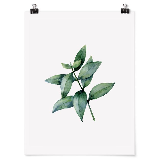 Poster - Aquarell Eucalyptus III - Hochformat 3:4