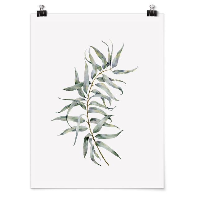 schöne Bilder Aquarell Eucalyptus IV