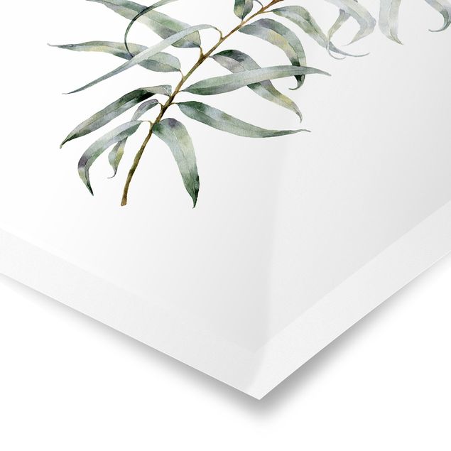 Poster - Aquarell Eucalyptus IV - Hochformat 3:4