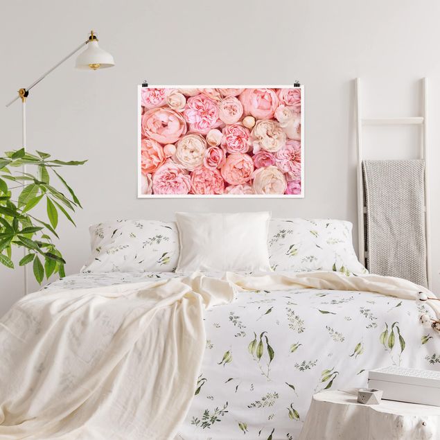 Moderne Poster Rosen Rosé Koralle Shabby
