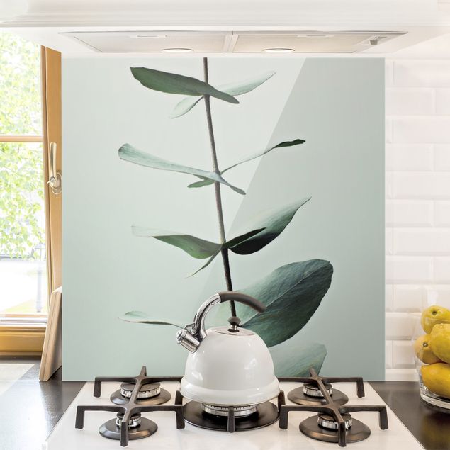 Glasrückwand Küche Blumen Symmetrischer Eukalyptuszweig