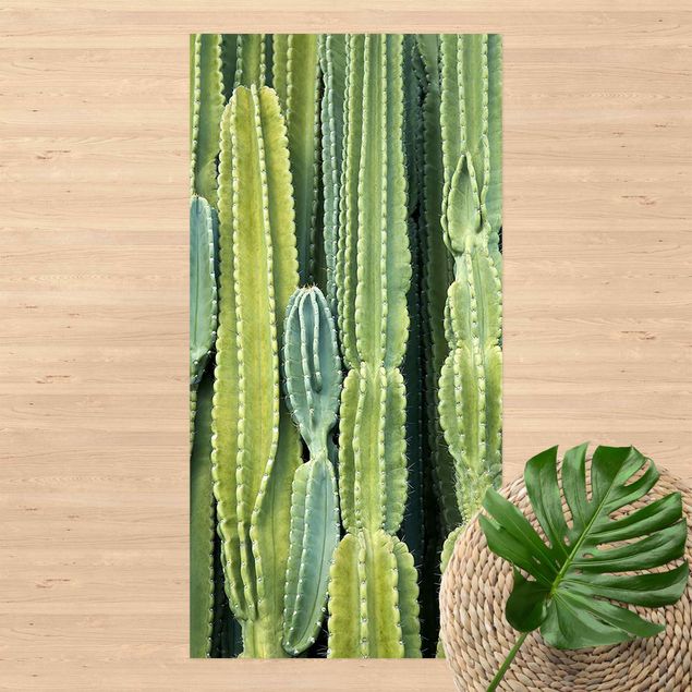 Teppich Outdoor Kaktus Wand
