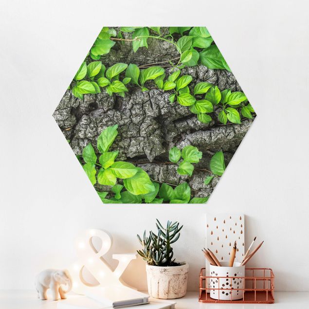 Hexagon-Bilder Efeuranken Baumrinde