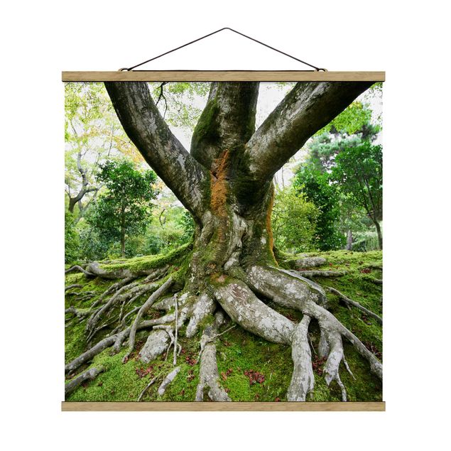Stoffbild mit Posterleisten - Alter Baum - Quadrat 1:1
