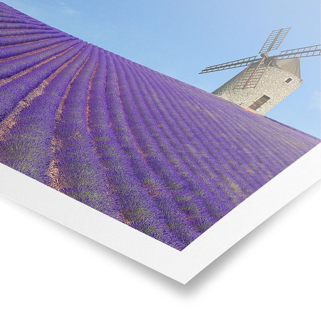 Poster bestellen Lavendelduft in der Provence