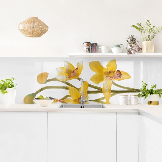 Wandpaneele Küche Saffron Orchid Waters