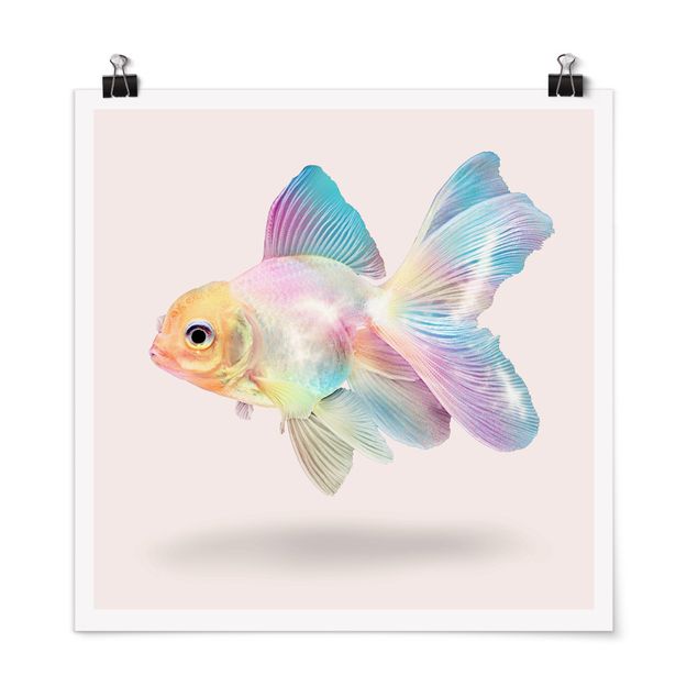 Moderne Poster Fisch in Pastell