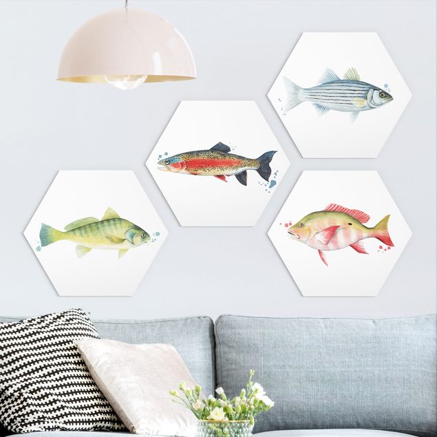 Wandbilder Farbfang - Fische Set I