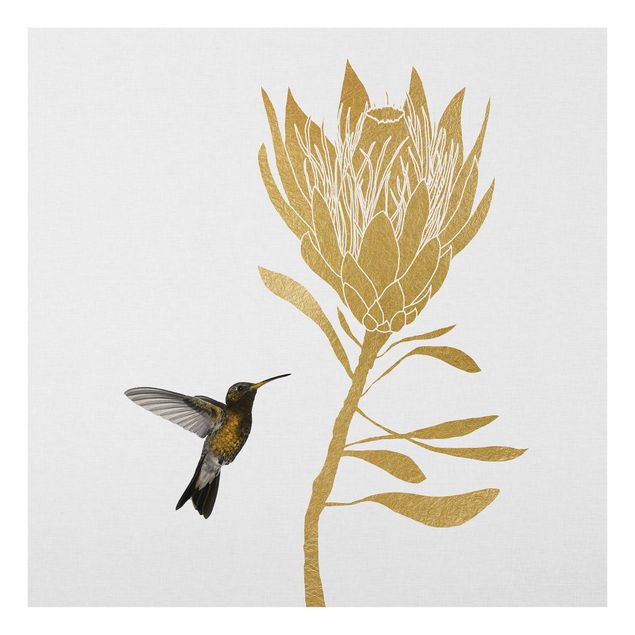 Spritzschutz Glas - Kolibri und tropische goldene Blüte - Quadrat 1:1
